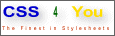 CSS 4 You-Logo Gr��e 1