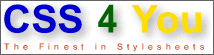 CSS 4 You-Logo Größe 3