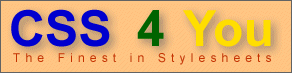 CSS 4 You-Logo Größe 4