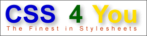 CSS 4 You-Logo Größe 4